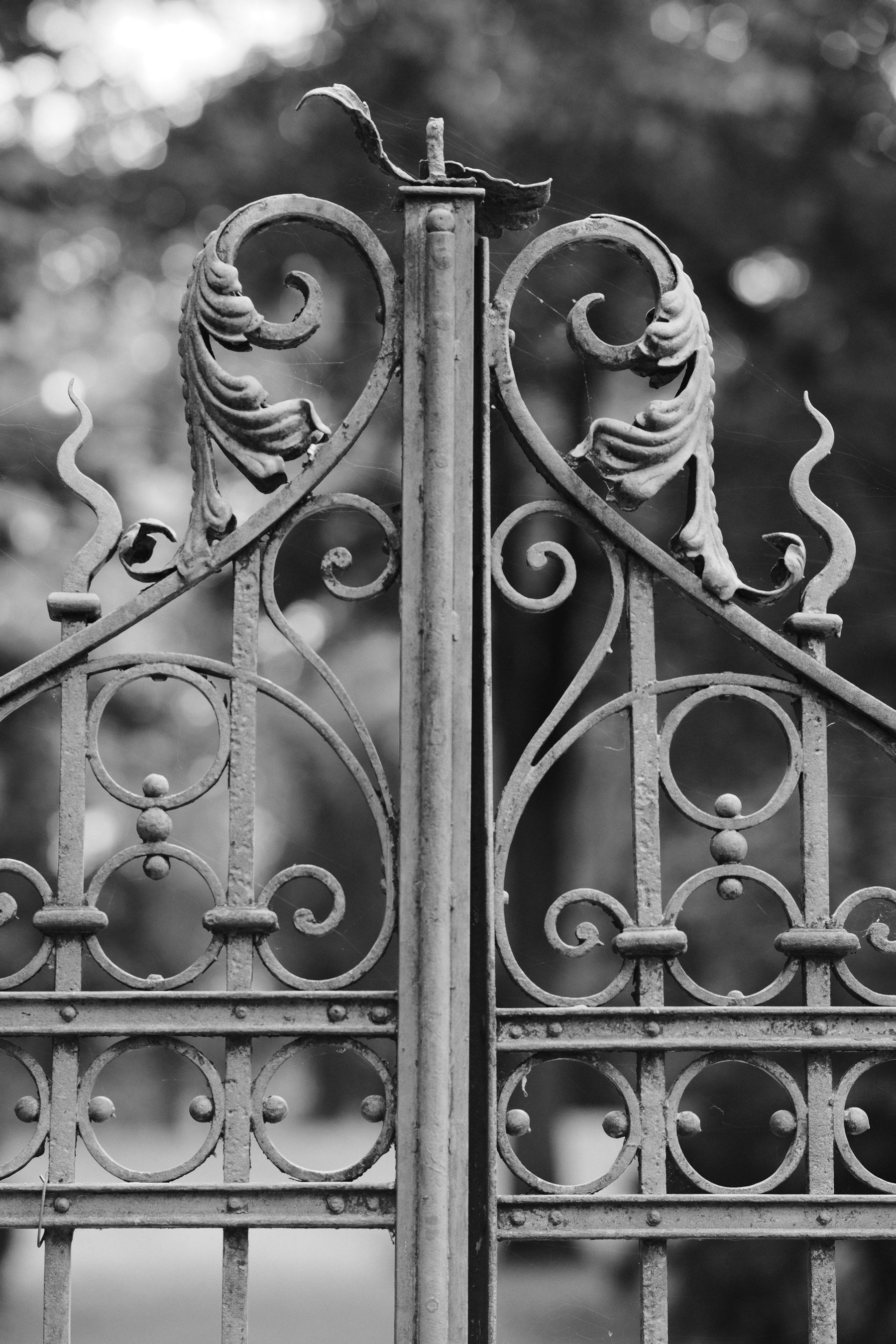 Detail van een sierlijk smeedijzeren hek in zwart-wit